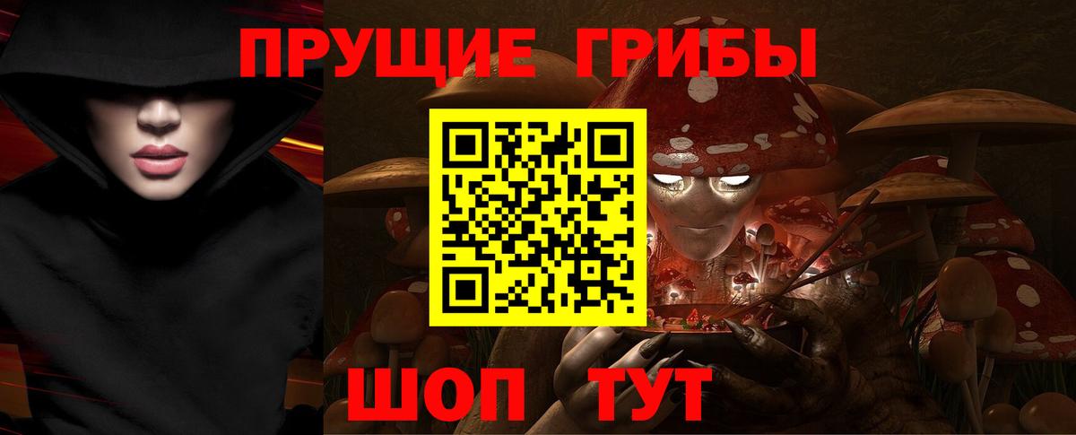 закладка  Псилоцибиновые грибы ЛСД  Аксай  Вход с VPN  Галлюциногенные грибы мицелий 